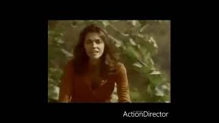 the rainbow connection carpenters