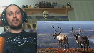 Nightwish - Lappi (Reaction)