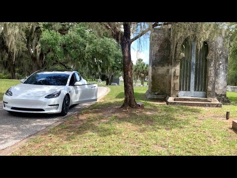 Tesla Catches So Many Ghosts In A Cemetery Including A Ghost On A Motorcycle And Dog Ghosts! #tesla