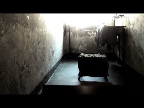 Planet ANM / EljotSounds - Chiroptera (Official Video)