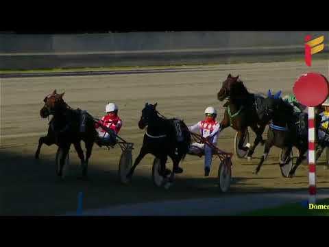 IV corsa del 11 dicembre 2022 - 2 Anni - Metri 1600