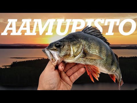 RIPPIRAPILLA KOMEAT RAITAPAIDAT - UUSI LELU VESILLÄ MUKANA