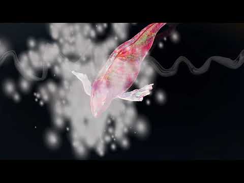 造形デザイン学科 Haiku Animation／俳句アニメーション