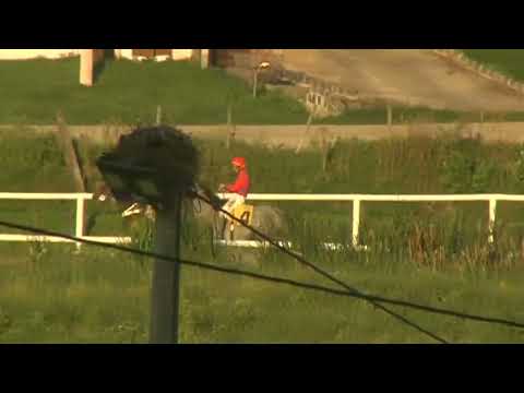 220310 c10 1° GENOVESA  SINT COLONIA