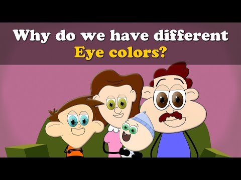 Why do we have different Eye colors? + more videos | #aumsum #kids #science #education #children