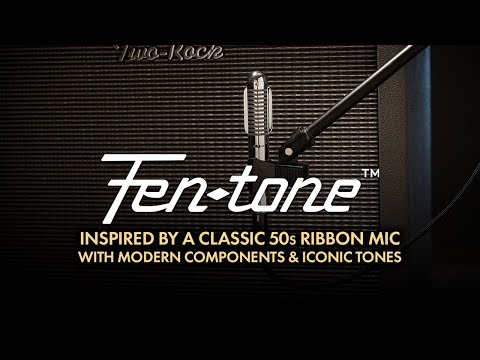 WARM AUDIO FEN-TONE WA-2FT Classic 50's Recreation Ribbon Instrument Microphone Pair image 8