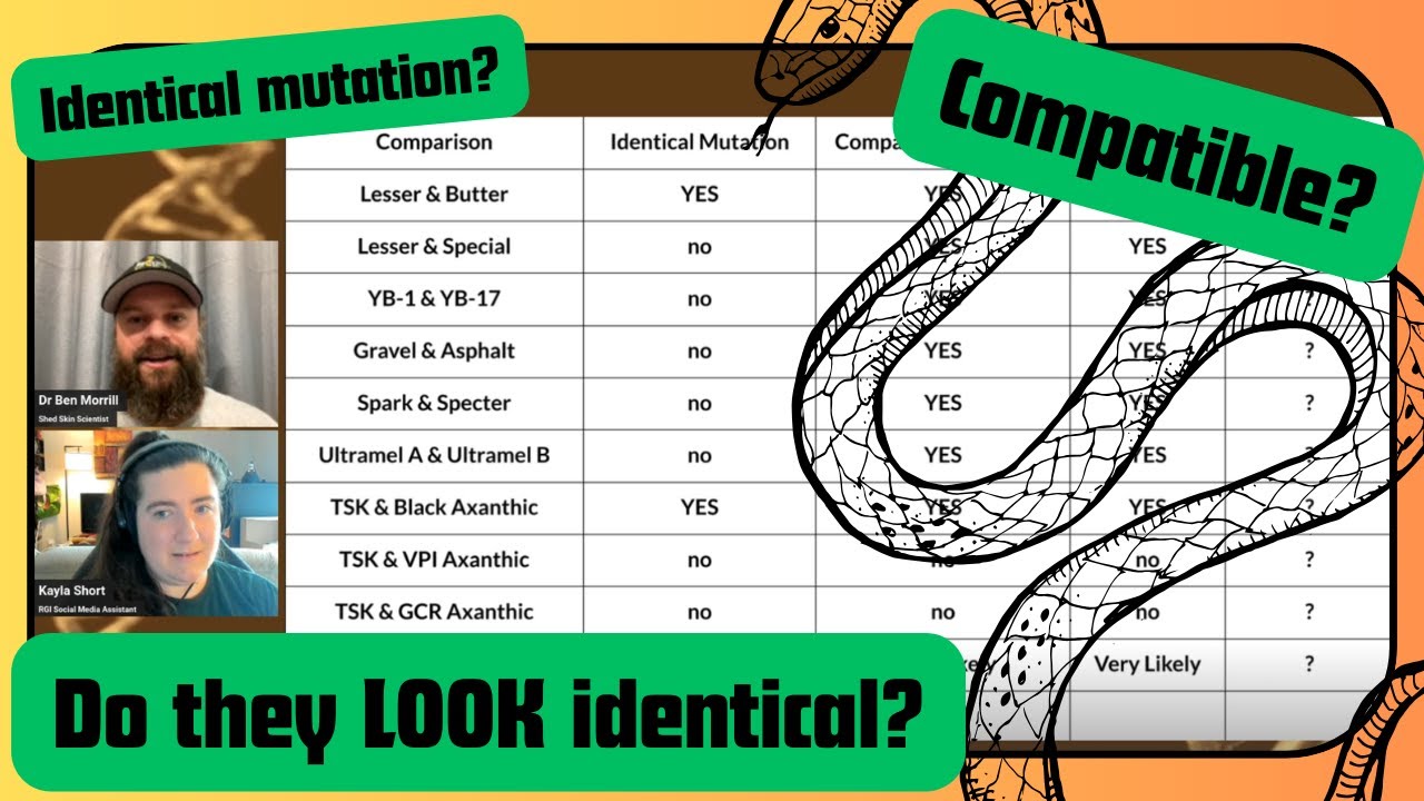 Can DNA Testing Tell If Two Mutations Will LOOK Identical? Well... - RGW Ep 61
