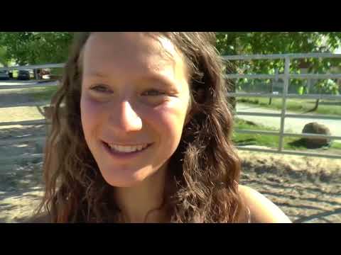 MUSTANG MAKEOVER Team Tanja (TAG 3910) - Update 2