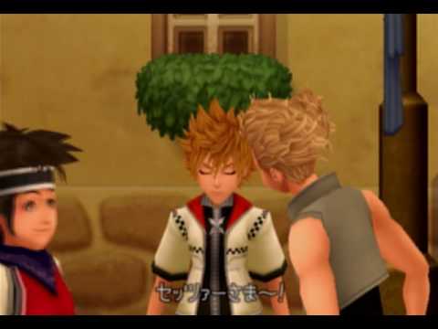 Kingdom Hearts II, Final Mix cutscene: 53 - The Call of the Heart