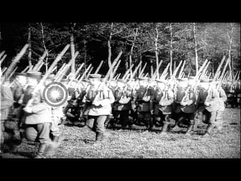 German Kaiser Wilhelm II reviews German troops near a forest area in Europe durin...HD Stock Footage