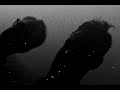 LIES - Camera Chimera [OFFICIAL MUSIC VIDEO]