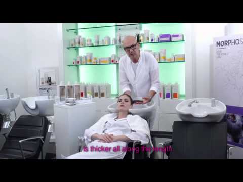 download lagu mp3 mp4 Morphosis, download mp3 Morphosis free download, download mp3 Morphosis