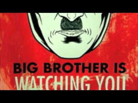 Big Brother Is Watching You - Sheldon Allman