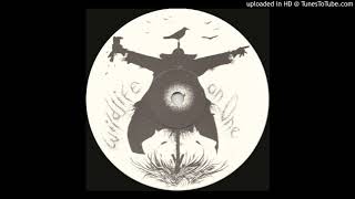 A2 - Holy Ghost Inc. - Divination