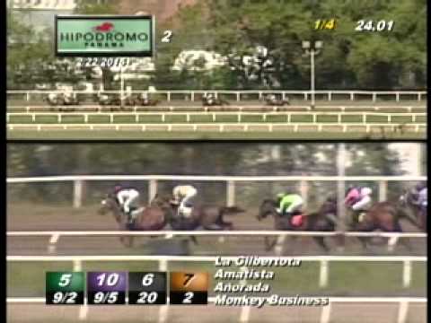 2DA CARRERA  DOMINGO 22 DE FEBRERO 2015 HPR