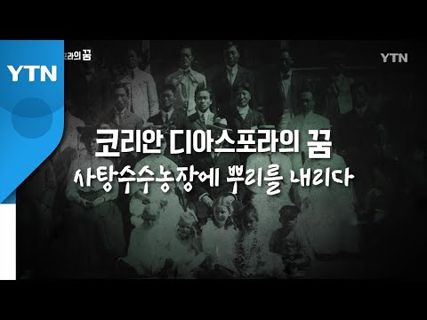 [YTN 특집] 코리안 디아스포라의 꿈 1부 / YTN