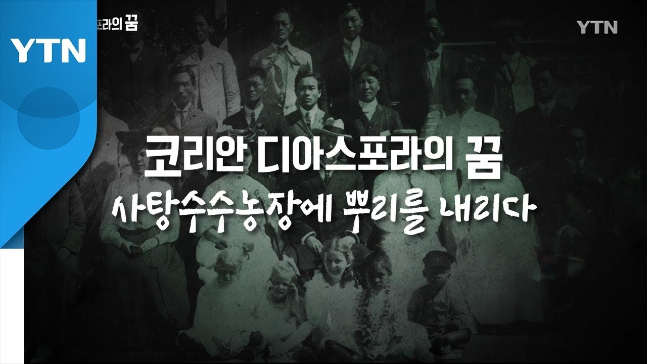[YTN 특집] 코리안 디아스포라의 꿈 1부 / YTN