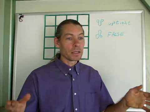 Rahu & Ketu (the Nodes) in the Houses