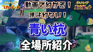 【ポケモンSV】「青い杭」の全場所紹介 準伝説ポケモン解放