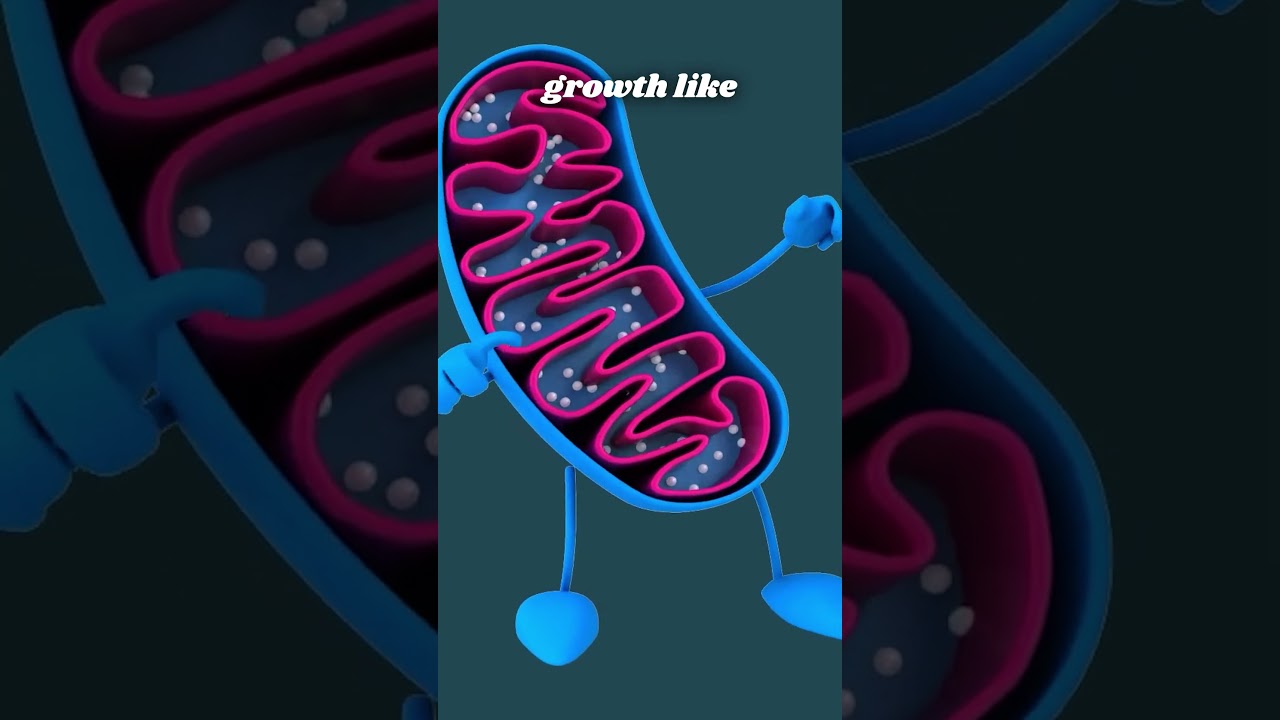 Calcium & Health #vitd #cancerawareness #healthytips #medicalcentric #calcium