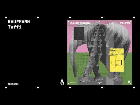 Kaufmann - Weird Flex | Truesoul
