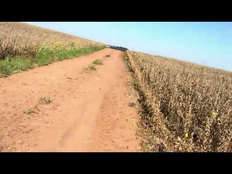 Zona rural de Andirá Pr 