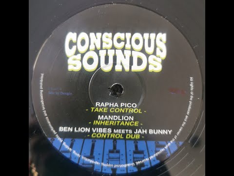 CONSCIOUS SOUNDS “TAKE CONTROL / EARTH STEP” RAPHA PICO MANDLION DOUGIE CONSCIOUS EMPERORFARI