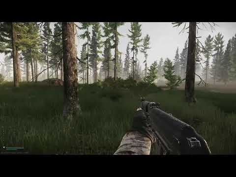 Road to Customs | Shoreline - Escape from Tarkov