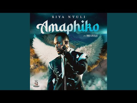 Amaphiko