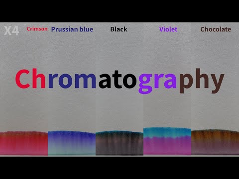Chromatography of Crimson, Prussian Blue, Black, Violet, Chocolate Colors | Shot in 4K, Split in FHD