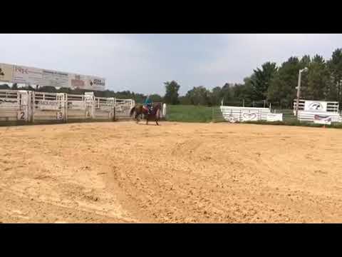 Woody Carney Mi 8/4/18