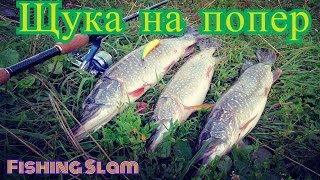 Рыбалка в селе кокши алтайский край