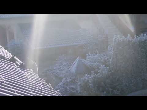 PAMETNI PRAH v zraku