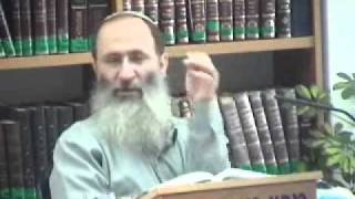 15149-4 אבני החושן ופרה אדומה