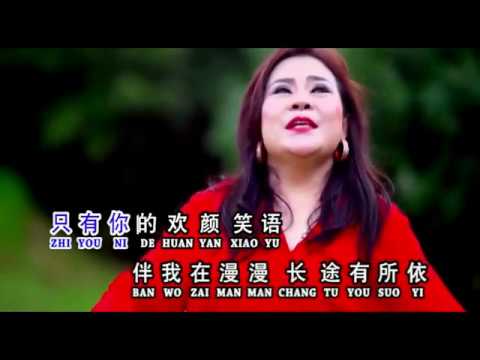 Huan yan 欢颜 - Wang Ie Ling 王玉莲