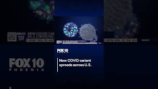 New COVID-19 variant spreads across U.S. | FOX 10 Phoenix