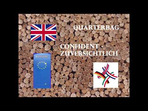 Confident 2021 - Zuversichtlich - A Corona Protest Song