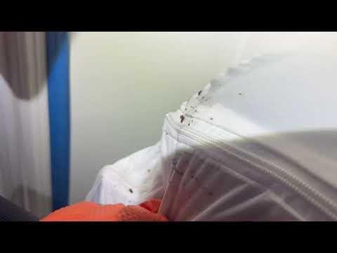 Mattress Heavily Infested with Bed Bugs in Kendall Park, NJ