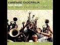 Iag Bari (The Big Longing) - Fanfare Ciocarlia ...