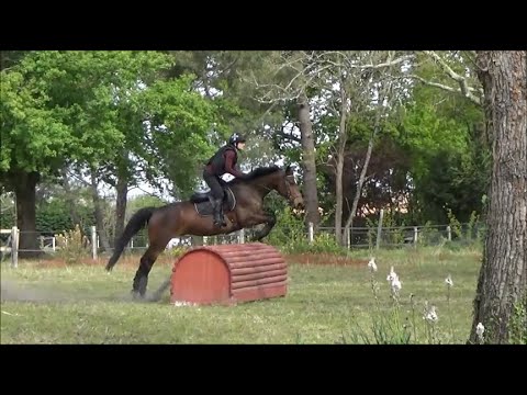 Cours de cross avec Surya 20/04/21