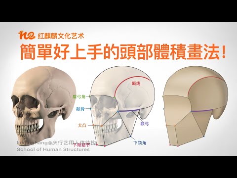 頭的骨頭