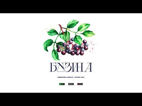 Memories Avenue x Артем Лоік - Бузина
