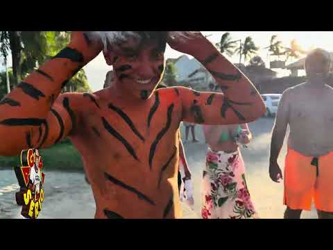 ASSOCIAÇÃO CULTURAL BLOCO BRASILEIRINHO AGITA O CARNAVAL DE PERUÍBE 2025 BLOCO DO TIGRINHO