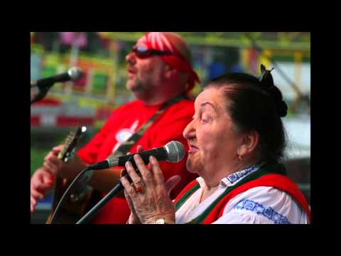 Fleret Jarmila Šuláková - Ovečky zaběhnuté