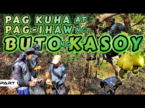 EP921-P1 - Pag-ihaw ng Buto ng Kasoy