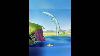 He’s a sly fox #funny #cartoon #foryou #animation #fyp #usa