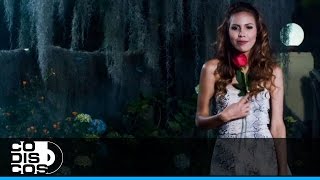 Regálame Una Rosa Lyrics  Translation