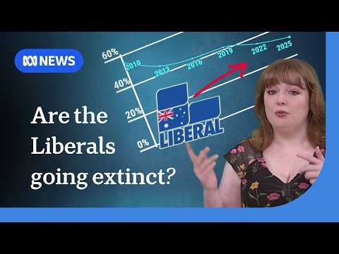 Why the Liberal Party is under 'existential threat' post-election | ABC NEWS