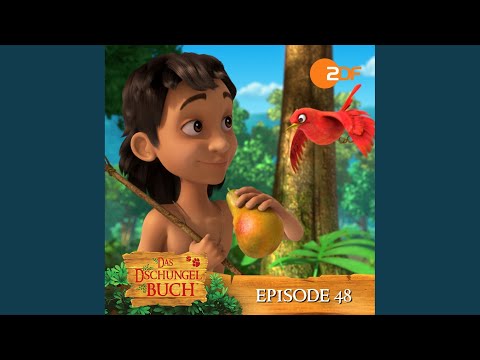 Ein echter kleiner Mogli - Teil 1