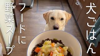 魚系フードに野菜スープ | 犬に手作りごはん